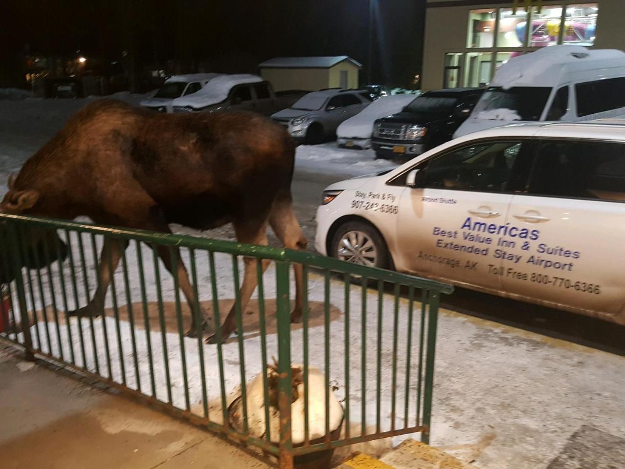 Americas Best Value Inn & Suites Anchorage Airport Luaran gambar